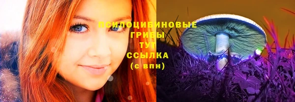 МДПВ Лихославль